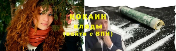 индика Балахна