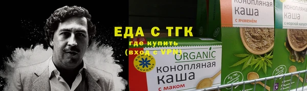 индика Балахна