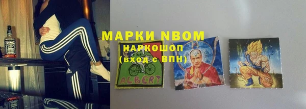 индика Балахна