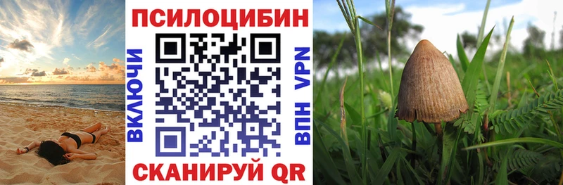 Галлюциногенные грибы мухоморы  кракен зеркало  Верхняя Тура  купить наркотик 